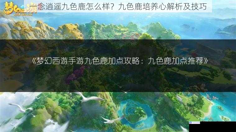 一念逍遥九色鹿怎么样？九色鹿培养心解析及技巧