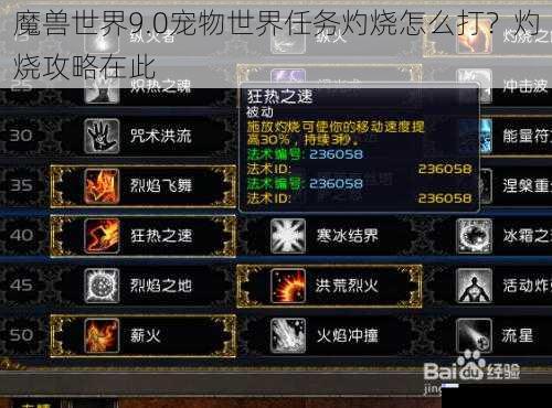 魔兽世界 9.0 宠物世界任务灼烧怎么打?灼烧攻略在此