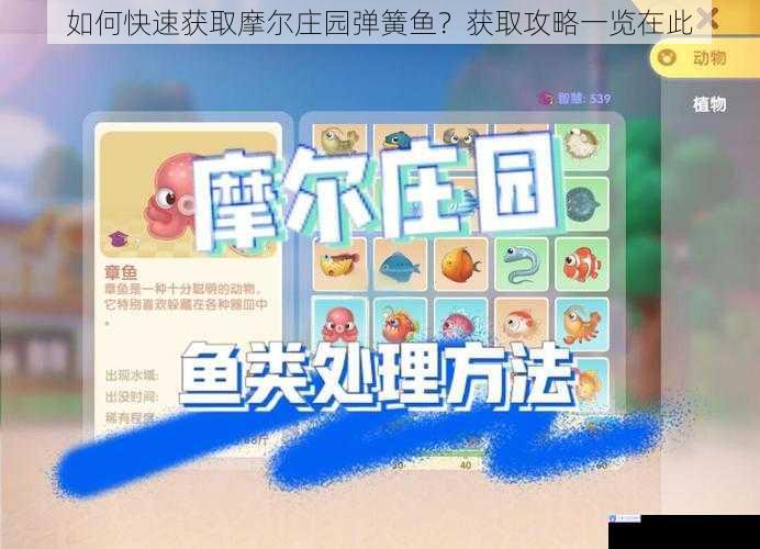 如何快速获取摩尔庄园弹簧鱼?获取攻略一览在此