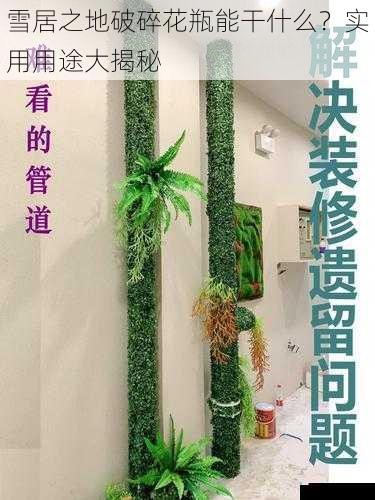 装饰与美化