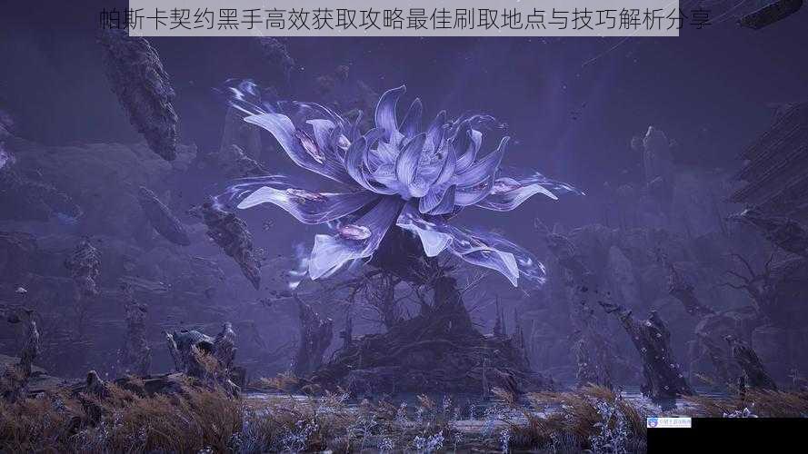 帕斯卡契约黑手高效获取攻略最佳刷取地点与技巧解析分享
