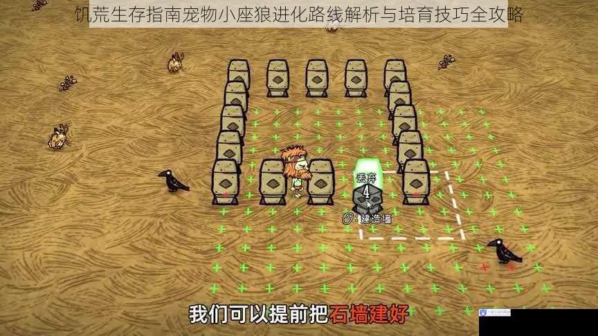 饥荒生存指南宠物小座狼进化路线解析与培育技巧全攻略