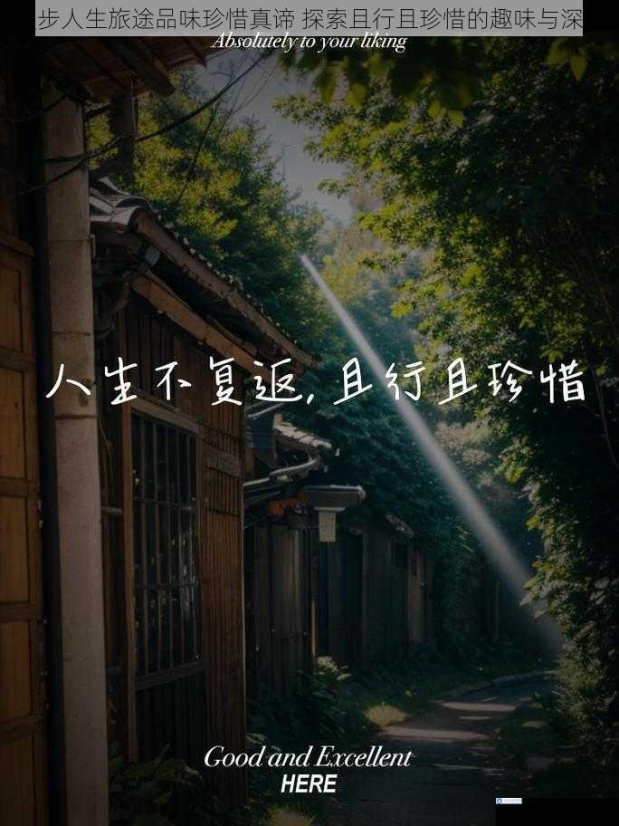 漫步人生旅途品味珍惜真谛 探索且行且珍惜的趣味与深意