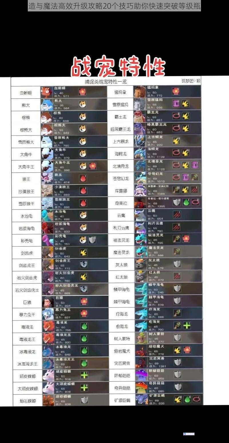 创造与魔法高效升级攻略20个技巧助你快速突破等级瓶颈