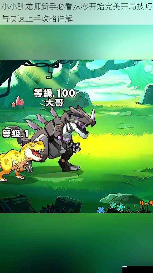 小小驯龙师新手必看从零开始完美开局技巧与快速上手攻略详解