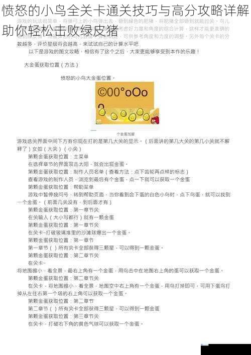 愤怒的小鸟全关卡通关技巧与高分攻略详解助你轻松击败绿皮猪