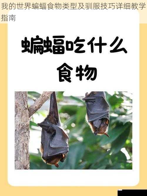 我的世界蝙蝠食物类型及驯服技巧详细教学指南