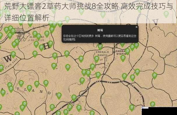 荒野大镖客2草药大师挑战8全攻略 高效完成技巧与详细位置解析