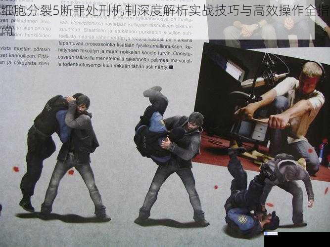 细胞分裂5断罪处刑机制深度解析实战技巧与高效操作全指南
