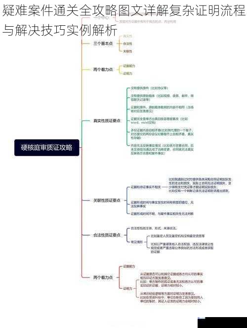 疑难案件通关全攻略图文详解复杂证明流程与解决技巧实例解析