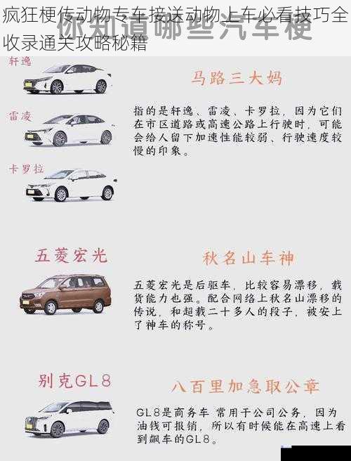 疯狂梗传动物专车接送动物上车必看技巧全收录通关攻略秘籍