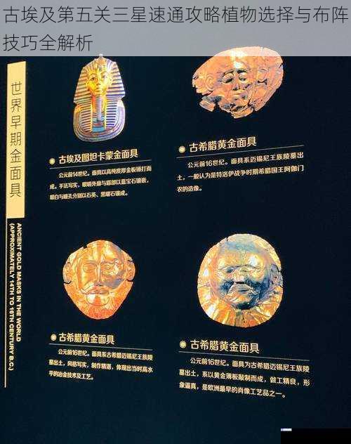 古埃及第五关三星速通攻略植物选择与布阵技巧全解析