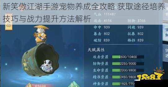 新笑傲江湖手游宠物养成全攻略 获取途径培养技巧与战力提升方法解析