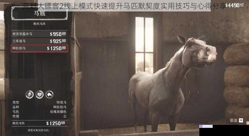 荒野大镖客2线上模式快速提升马匹默契度实用技巧与心得分享