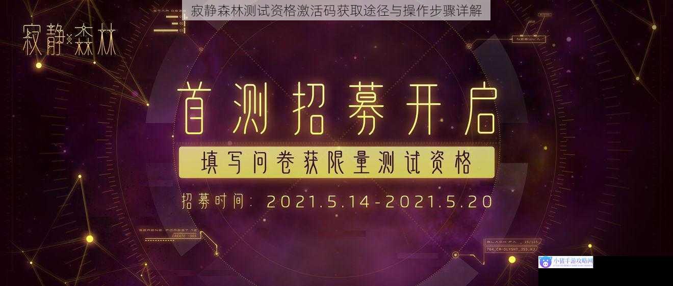 寂静森林测试资格激活码获取途径与操作步骤详解