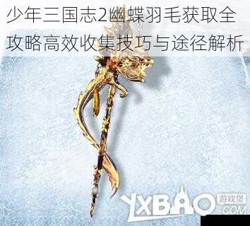 少年三国志2幽蝶羽毛获取全攻略高效收集技巧与途径解析