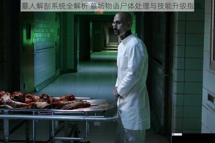 守墓人解剖系统全解析 墓场物语尸体处理与技能升级指南