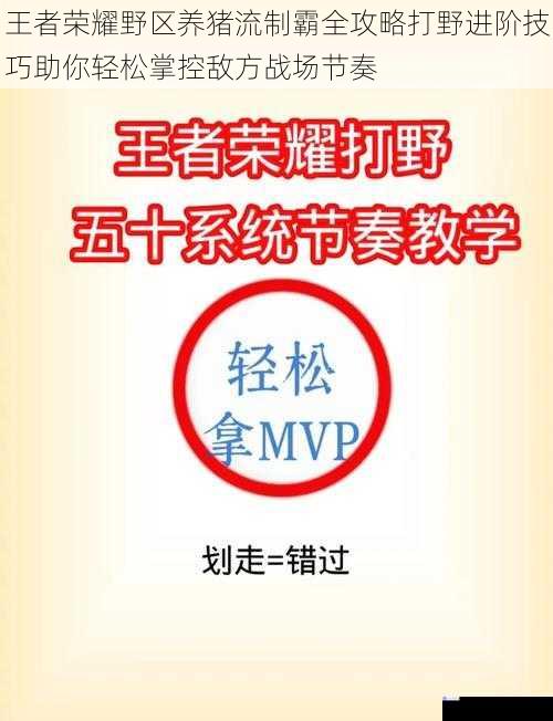 王者荣耀野区养猪流制霸全攻略打野进阶技巧助你轻松掌控敌方战场节奏