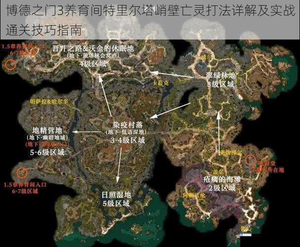 博德之门3养育间特里尔塔峭壁亡灵打法详解及实战通关技巧指南