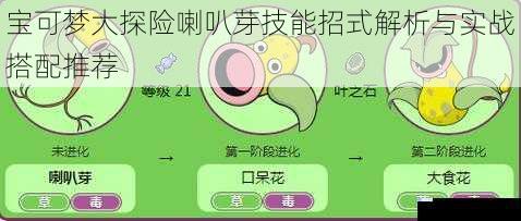 宝可梦大探险喇叭芽技能招式解析与实战搭配推荐