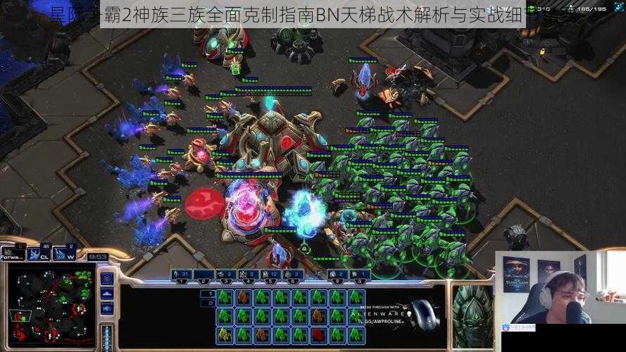 星际争霸2神族三族全面克制指南BN天梯战术解析与实战细节精要