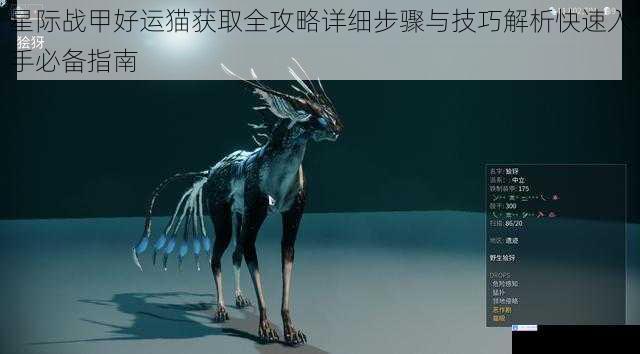 星际战甲好运猫获取全攻略详细步骤与技巧解析快速入手必备指南