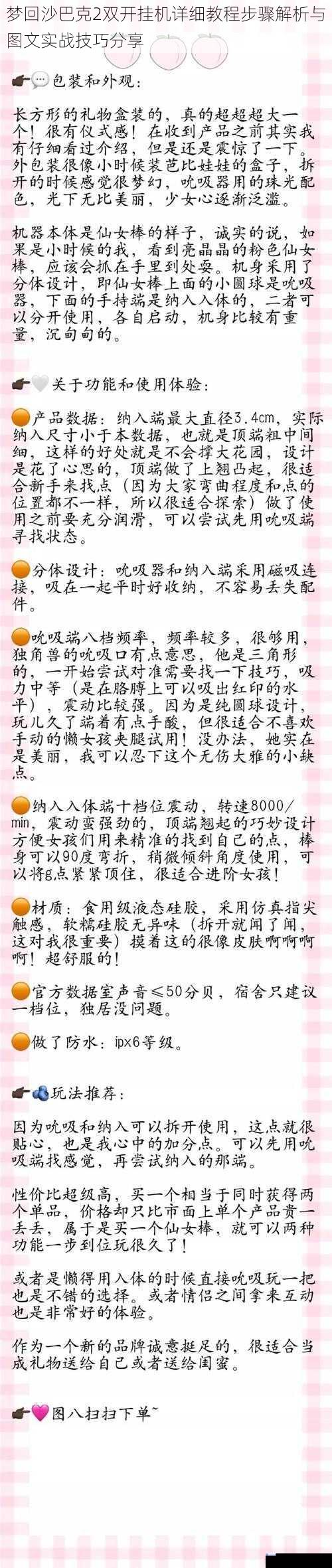 梦回沙巴克2双开挂机详细教程步骤解析与图文实战技巧分享