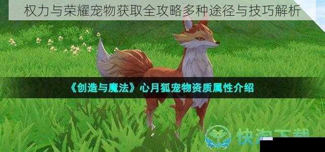 权力与荣耀宠物获取全攻略多种途径与技巧解析