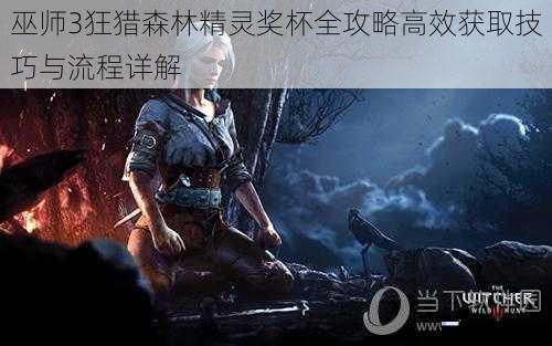 巫师3狂猎森林精灵奖杯全攻略高效获取技巧与流程详解