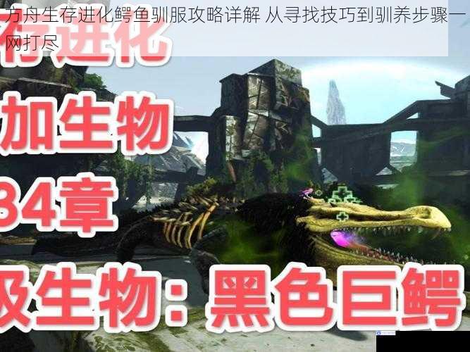 方舟生存进化鳄鱼驯服攻略详解 从寻找技巧到驯养步骤一网打尽