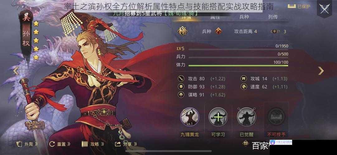 率土之滨孙权全方位解析属性特点与技能搭配实战攻略指南