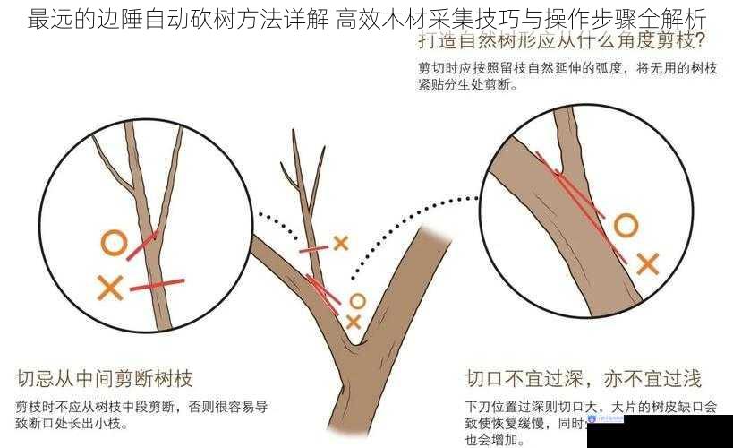 最远的边陲自动砍树方法详解 高效木材采集技巧与操作步骤全解析