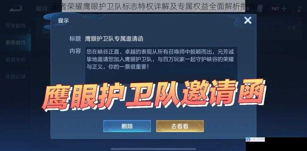 王者荣耀鹰眼护卫队标志特权详解及专属权益全面解析指南