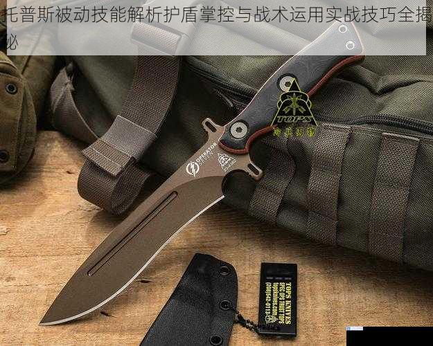 托普斯被动技能解析护盾掌控与战术运用实战技巧全揭秘