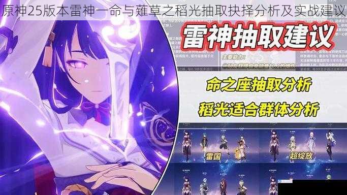 原神25版本雷神一命与薙草之稻光抽取抉择分析及实战建议