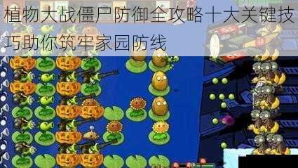 植物大战僵尸防御全攻略十大关键技巧助你筑牢家园防线