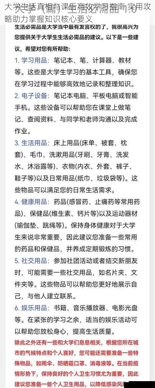 大学生活真相与课后高效学习指南 实用攻略助力掌握知识核心要义