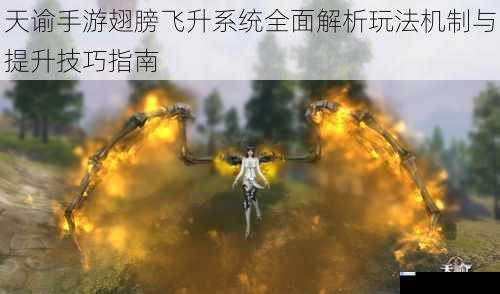 天谕手游翅膀飞升系统全面解析玩法机制与提升技巧指南
