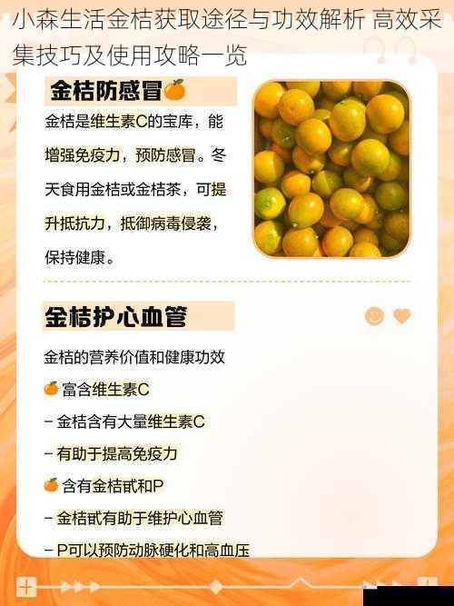 小森生活金桔获取途径与功效解析 高效采集技巧及使用攻略一览