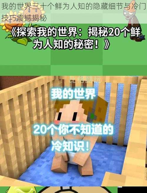 我的世界三十个鲜为人知的隐藏细节与冷门技巧震撼揭秘