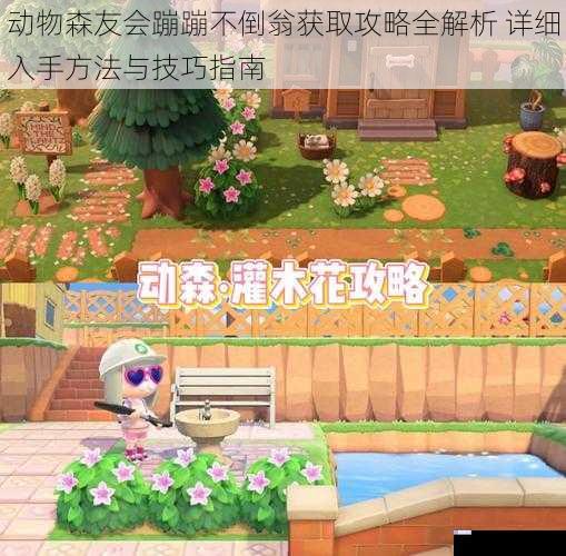 动物森友会蹦蹦不倒翁获取攻略全解析 详细入手方法与技巧指南