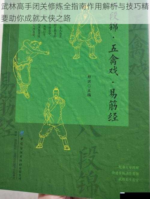 武林高手闭关修炼全指南作用解析与技巧精要助你成就大侠之路