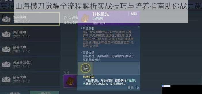 妄想山海横刀觉醒全流程解析实战技巧与培养指南助你战力飙升