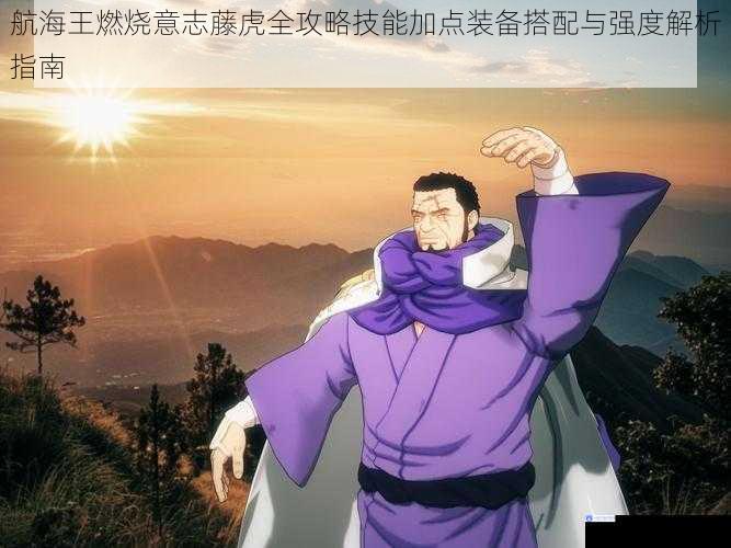 航海王燃烧意志藤虎全攻略技能加点装备搭配与强度解析指南