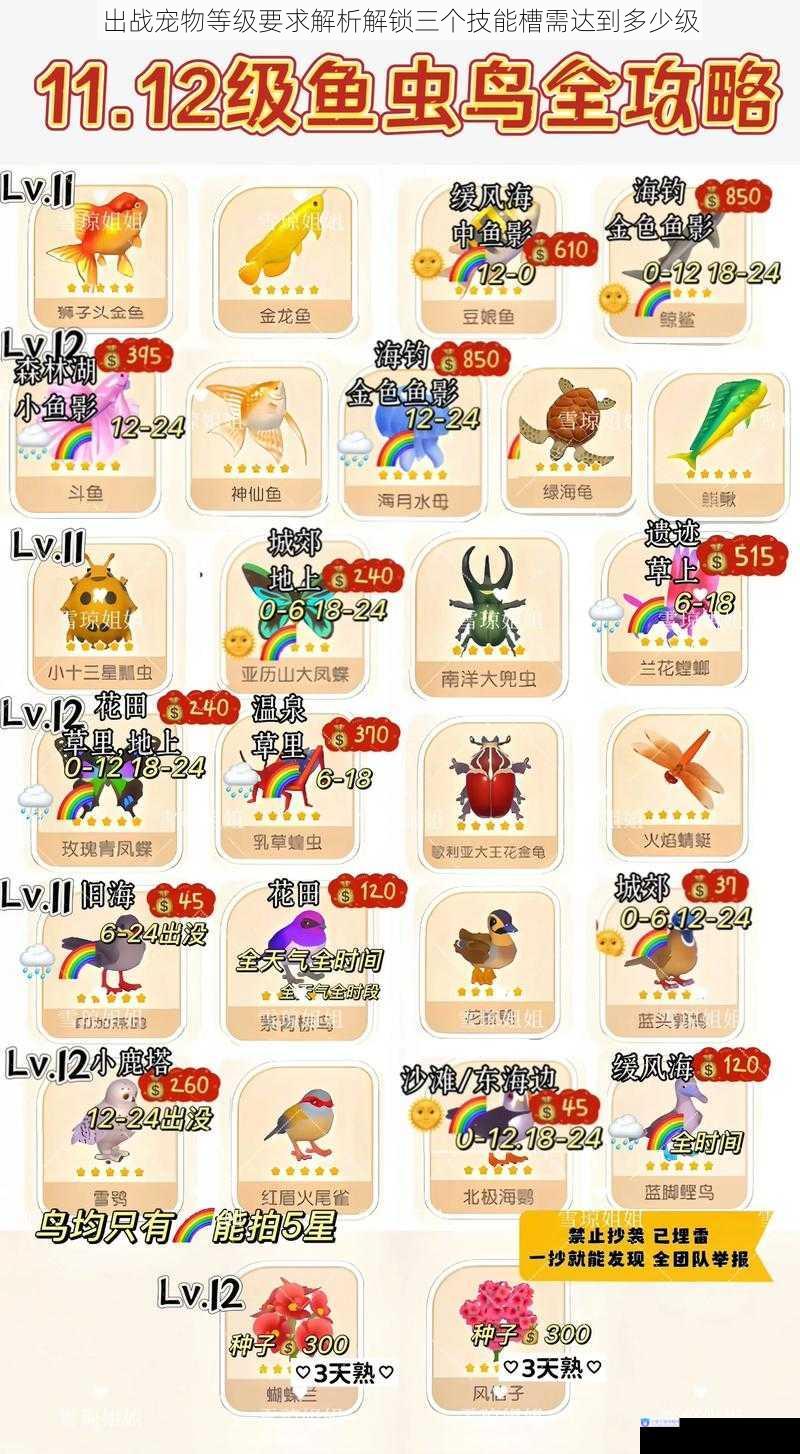 出战宠物等级要求解析解锁三个技能槽需达到多少级