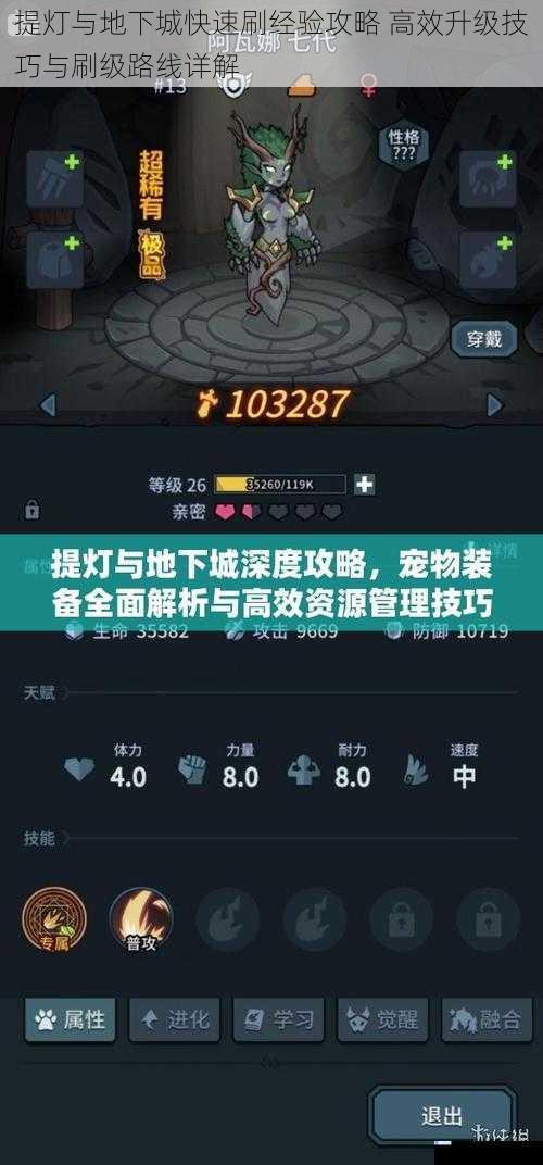 提灯与地下城快速刷经验攻略 高效升级技巧与刷级路线详解