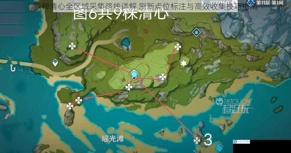 原神清心全区域采集路线详解 刷新点位标注与高效收集技巧指南