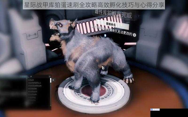 星际战甲库狛蛋速刷全攻略高效孵化技巧与心得分享