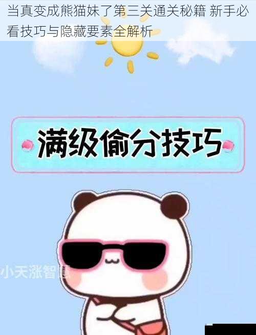 当真变成熊猫妹了第三关通关秘籍 新手必看技巧与隐藏要素全解析