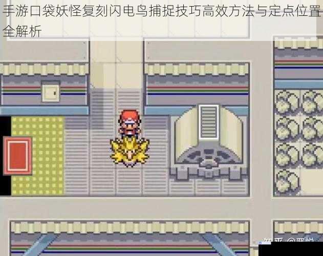 手游口袋妖怪复刻闪电鸟捕捉技巧高效方法与定点位置全解析